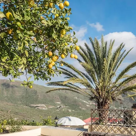 Casa Del Limonero Arona (Tenerife)